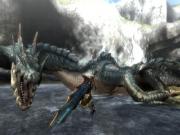 Monster Hunter 3 Tri for NINTENDOWII to buy