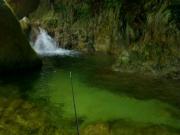 Reel Fishing Anglers Dream for NINTENDOWII to buy