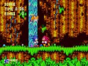 Sonic Classic Collection for NINTENDODS to buy