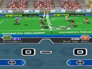 Sports Island for NINTENDODS to buy