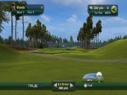 Tiger Woods PGA Tour 11 for NINTENDOWII to buy