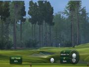 Tiger Woods PGA Tour 11 for NINTENDOWII to buy