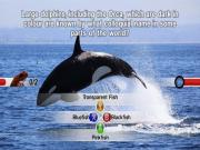 Nat Geo Quiz Wild Life (National Geographic) for NINTENDOWII to buy