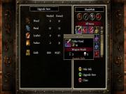 Puzzle Quest Challenge of the Warlords 2 for NINTENDODS to buy