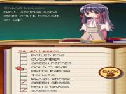 Rune Factory 2 A Fantasy Harvest Moon for NINTENDODS to buy
