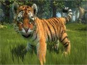 Kinectimals (Kinect Kinectimals) for XBOX360 to buy