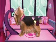 Barbie Groom And Glam Pups for NINTENDOWII to buy