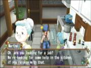 Harvest Moon Hero Of Leaf Valley for PSP to buy