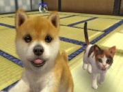 Nintendogs And Cats Golden Retriever Edition (3DS) for NINTENDO3DS to buy