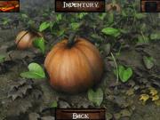 Hidden Mysteries Salem Secrets for NINTENDODS to buy