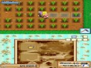 Harvest Moon Grand Bazaar for NINTENDODS to buy