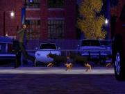 The Sims 3 Pets (3DS) for NINTENDO3DS to buy