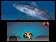 Reel Fishing Paradise 3D (3DS) for NINTENDO3DS to buy