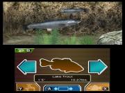 Reel Fishing Paradise 3D (3DS) for NINTENDO3DS to buy